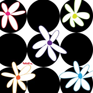 10black-&-white-daisies