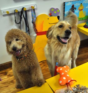 15Louie & Rudy in the studio